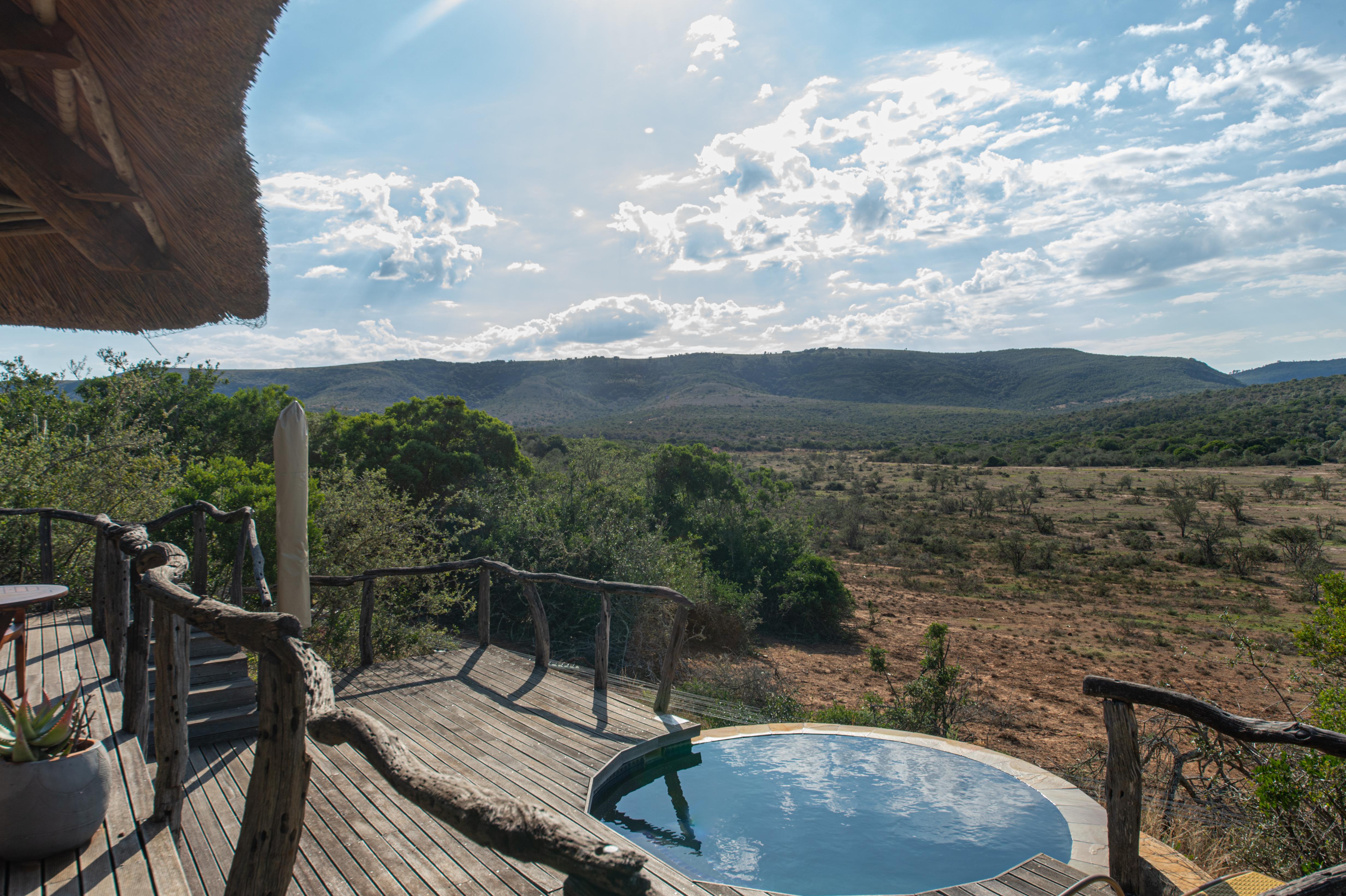 Pumba Private Game Reserve Port Elizabeth Exteriör bild