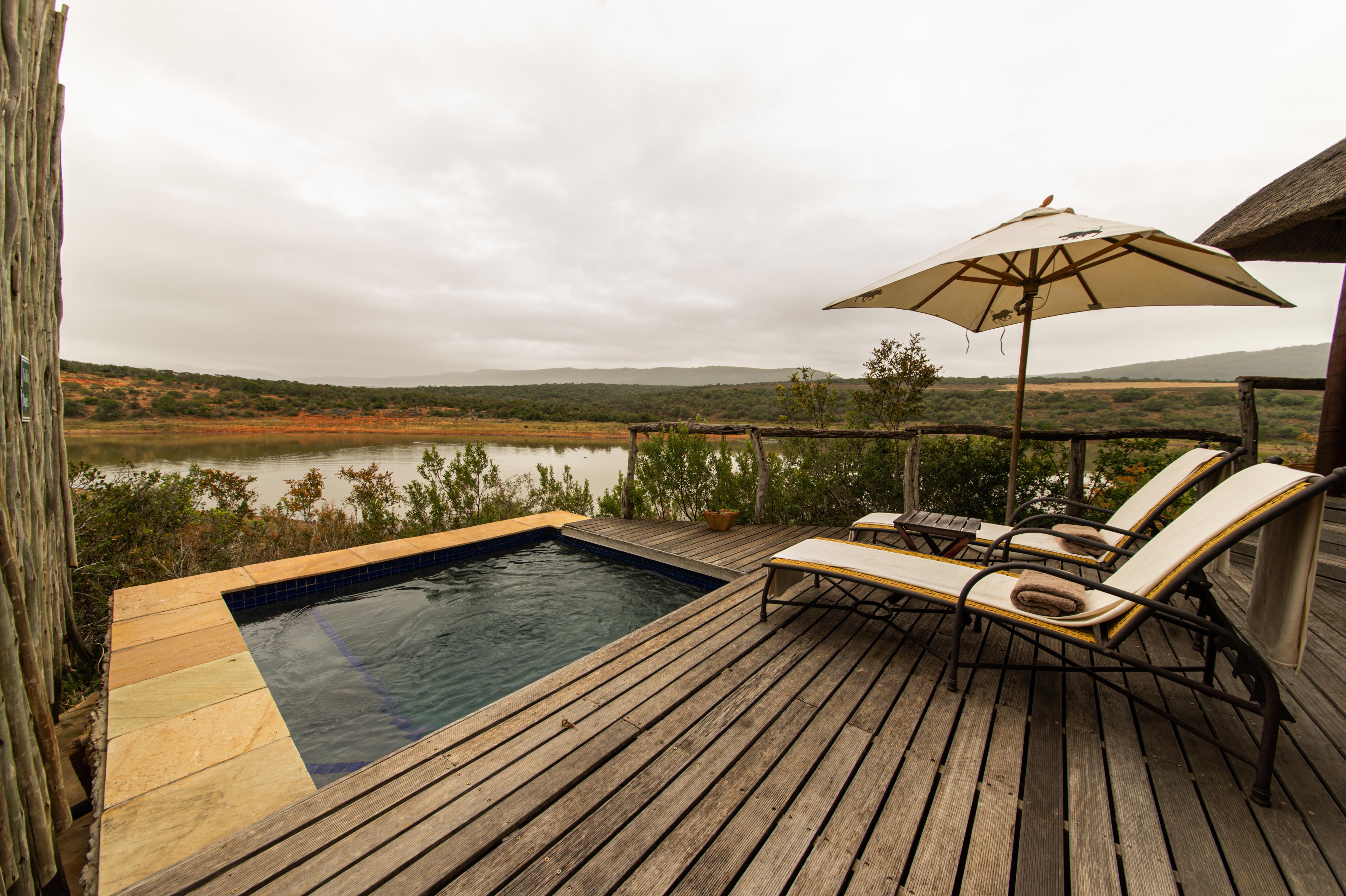 Pumba Private Game Reserve Port Elizabeth Exteriör bild