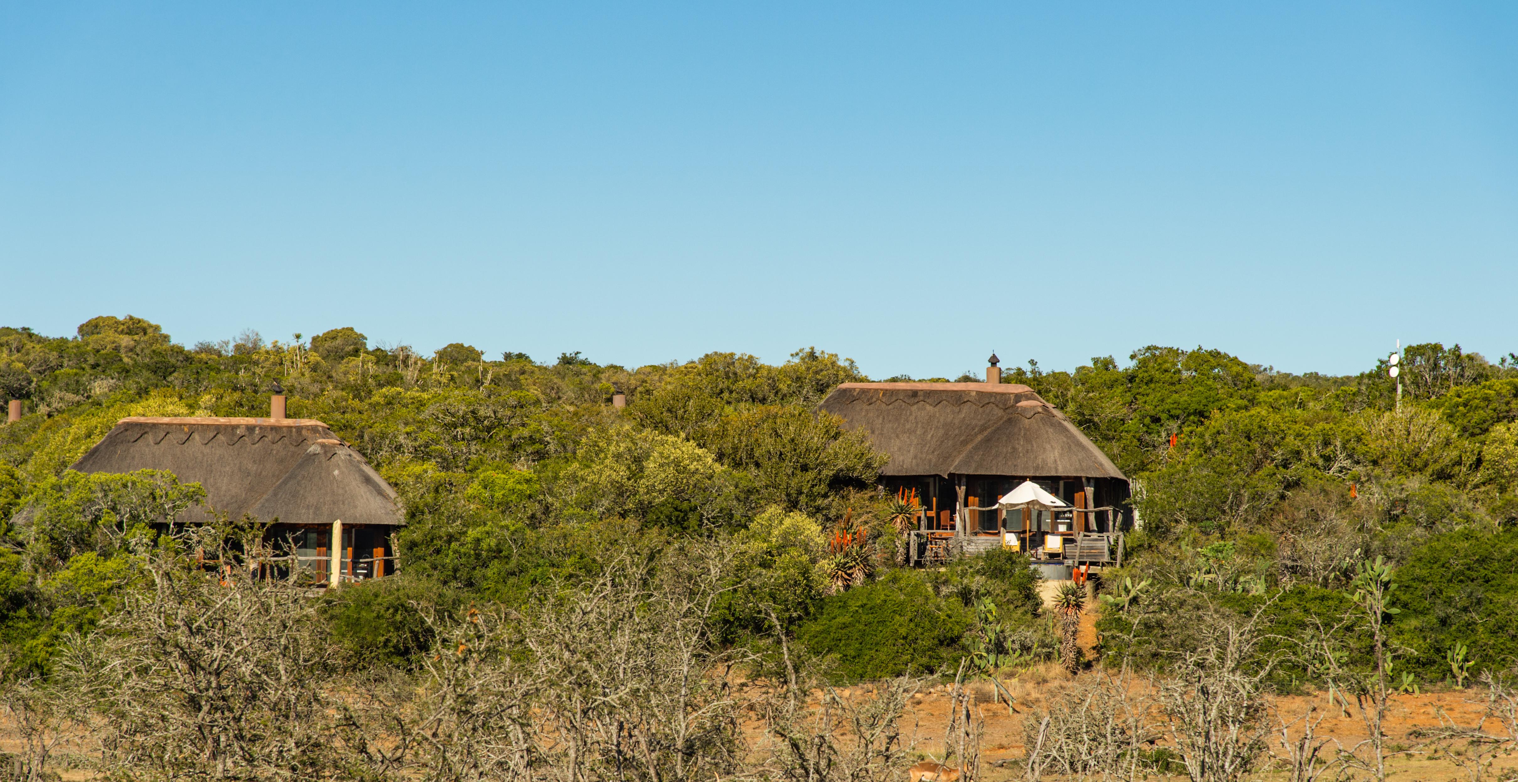Pumba Private Game Reserve Port Elizabeth Exteriör bild